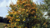 Octobre_01_008.jpg