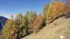 Ors_Octobre_003
