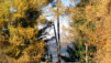 Ors_Octobre_004