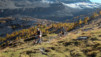 Ovronnaz_Derborence_016.jpg