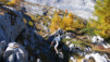 Ovronnaz_Derborence_017.jpg