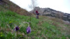 Ovronnaz_Randonnaz_013.jpg
