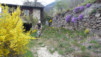 Ovronnaz_Randonnaz_026.jpg