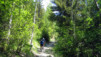 Pas_Maimbre_002.jpg