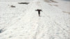 Pas_Maimbre_013.jpg