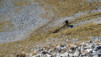 Pas_Maimbre_11_017