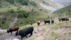 Pas_de_Maimbre_09_028