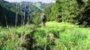Petit_Val_06_07.jpg