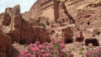 Petra_014.jpg