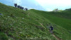 Pierre-A-Voir_10_016