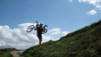 Pierre_A_Voir_07_013.jpg