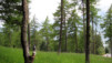 Pierre_A_Voir_07_035.jpg