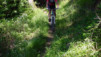 Pierre_a_Voir_022.jpg