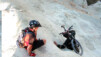 Pigeons-Valley_002.jpg
