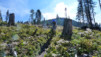 Plan_Monnay_024