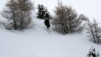 Pointe_de_Mandelon_019