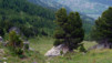 Portail_Fully_09_006