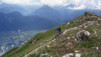 Portail_Fully_09_019