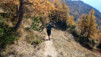 Portail_Fully_11_003