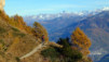 Portail_Fully_11_031