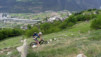 Raaft_019