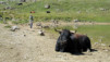 Restipass_10_009
