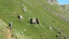 Restipass_10_011