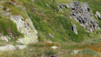 Restipass_10_022