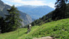 Restipass_10_032