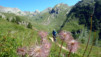 Restipass_12_006