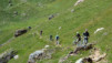 Restipass_12_018