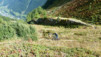 Restipass_13_043
