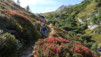 Restipass_13_044