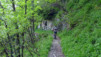 Rochers-Naye_021.jpg