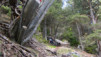 Routia_011.jpg