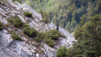 Routia_014.jpg