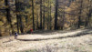 Saflischpass_058.jpg