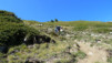 Saflischtal_12_028