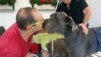 Saflischtal_12_033