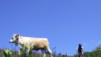 Saleve_010.jpg