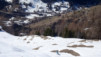 Schafberg_034