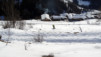 Six-Blanc_13_028