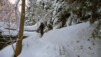 -10° au compteur à mercure pour un petit matin entre gris clair et gris foncé. Six_Blanc_001.jpg