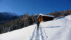 L'arrivée du soleil : un moment souvent apprécié en saison hivernale. Six_Blanc_002.jpg