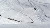 Spitzhorli_019