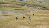 St-Rhemy_11_022