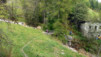 St-Rhemy_11_042