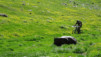 St-Rhemy_13_017
