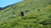 St-Rhemy_13_036