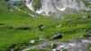 St-Rhemy_13_038